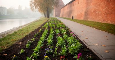 Uczniowie posadzą rośliny na bulwarze 9 października